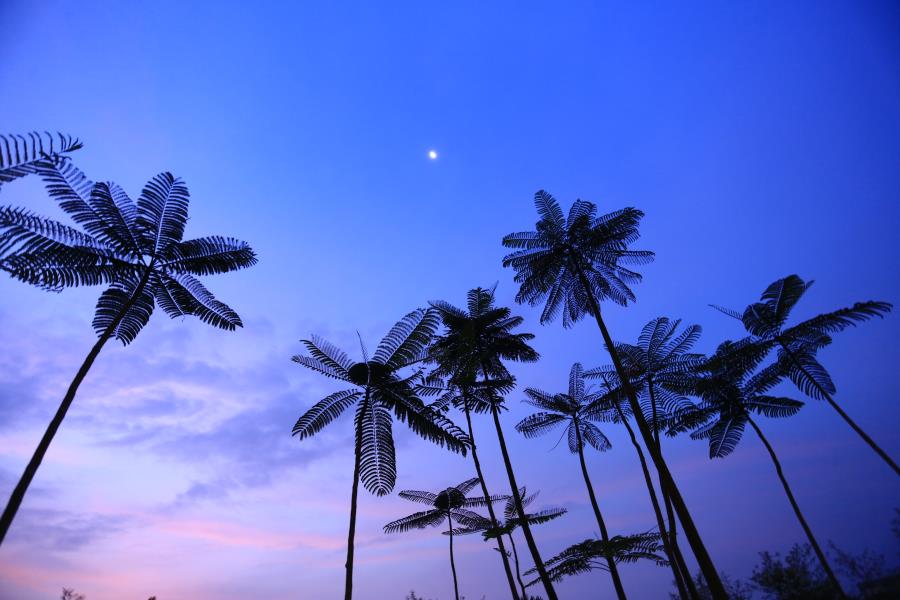 KEN Rimba Condominium 1