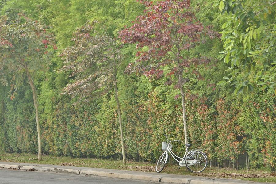 KEN Rimba Condominium 1